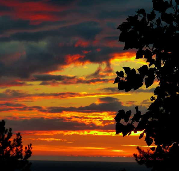 Crépuscule flamboyant